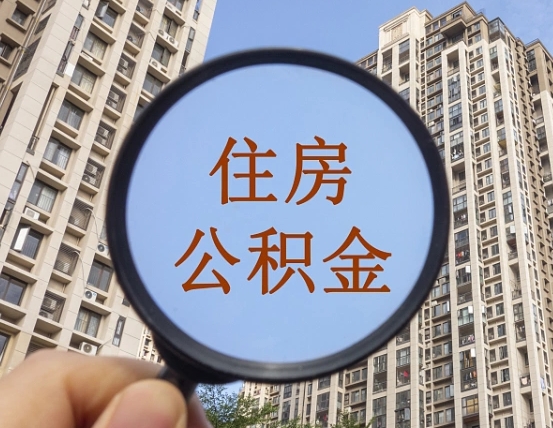 府谷退休后查不到公积金明细了吗（退休后公积金查询不到原因）
